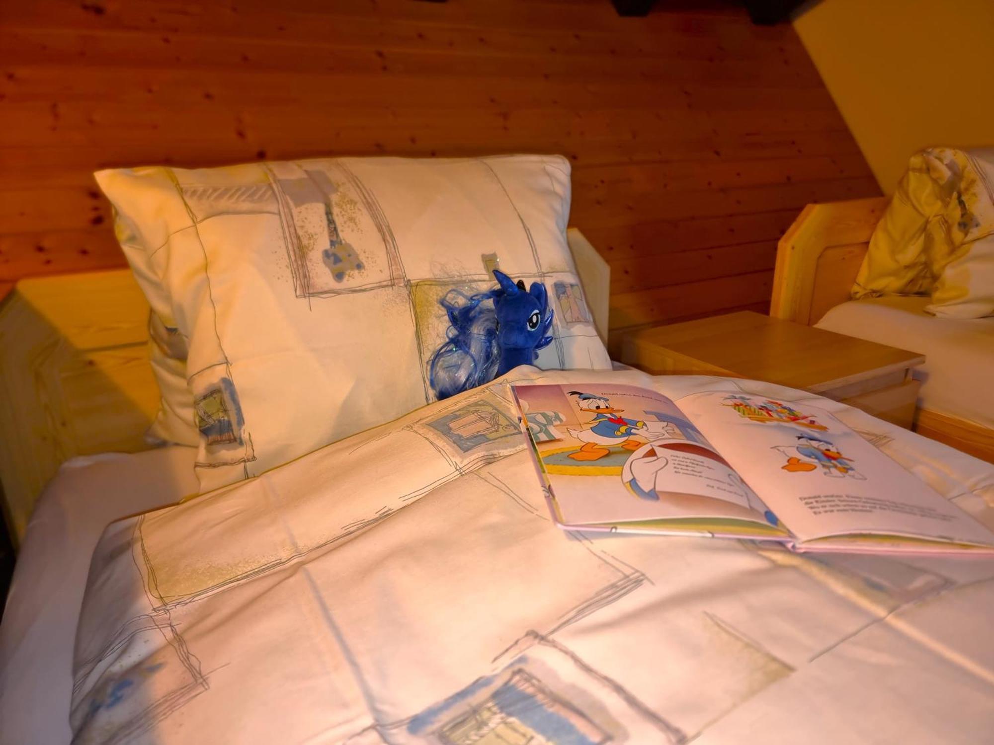 Hotel Alpenblick-Leukerbad-Therme Rom bilde